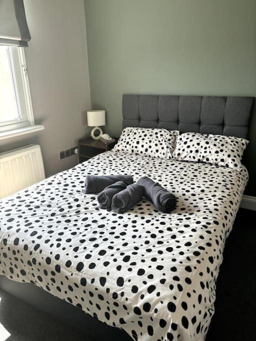 The One-Bedroom Central Brighton Retreat 外观 照片